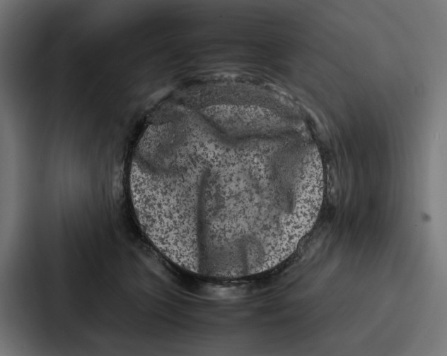 X0000087320563200705112139