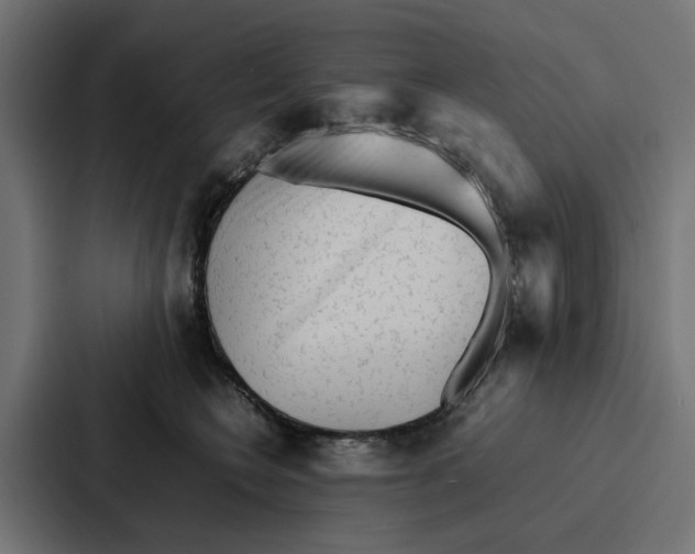 X0000087320566200705112139