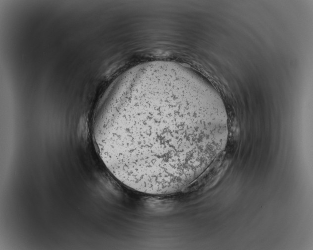 X0000087320568200705112139