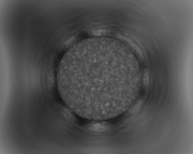 X0000087320569200705112139