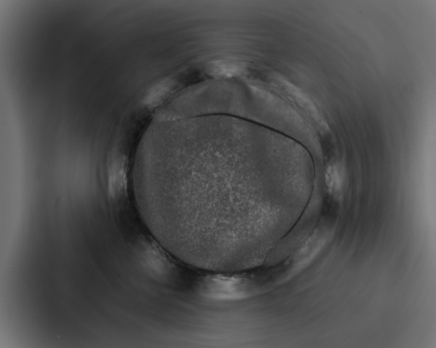 X0000087320570200705112139