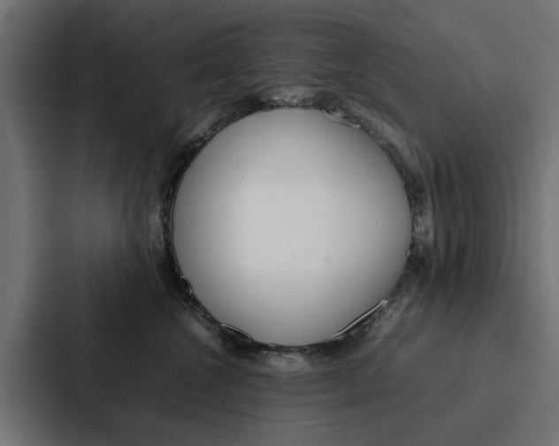 X0000087320572200705112139