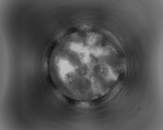 X0000087320573200705112139