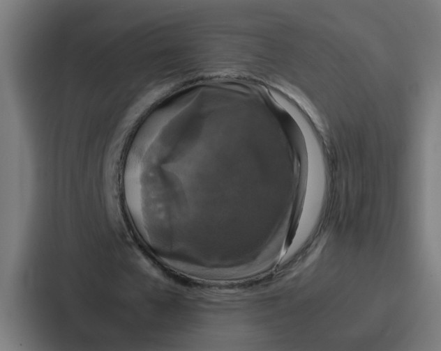 X0000087320577200705112139