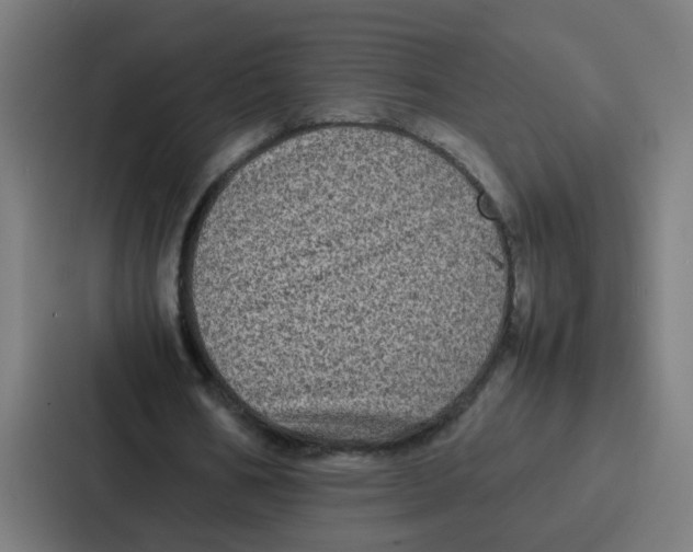 X0000087320578200705112139