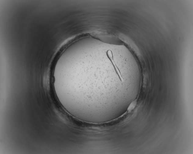 X0000087320580200705112139