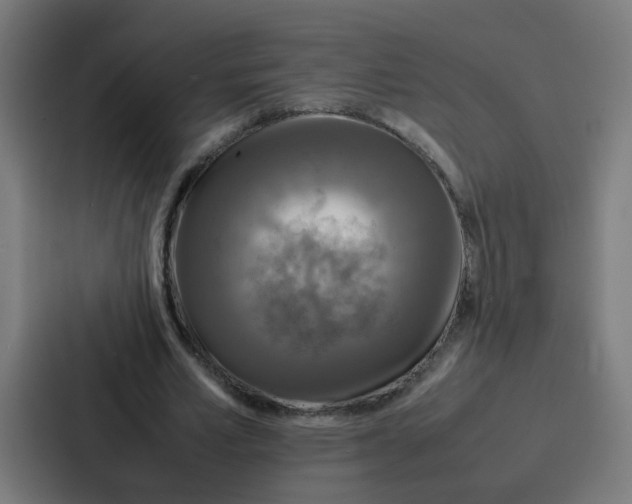 X0000087320581200705112139