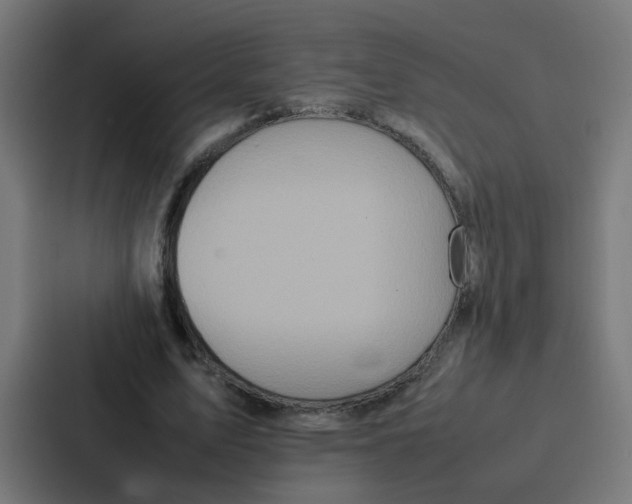 X0000087320583200705112139