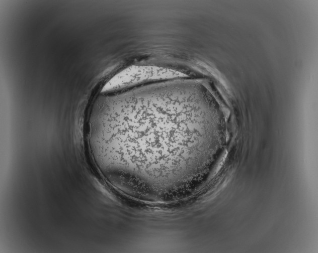 X0000087320585200705112139