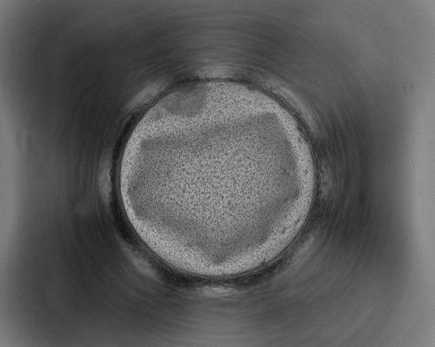 X0000087320586200705112138