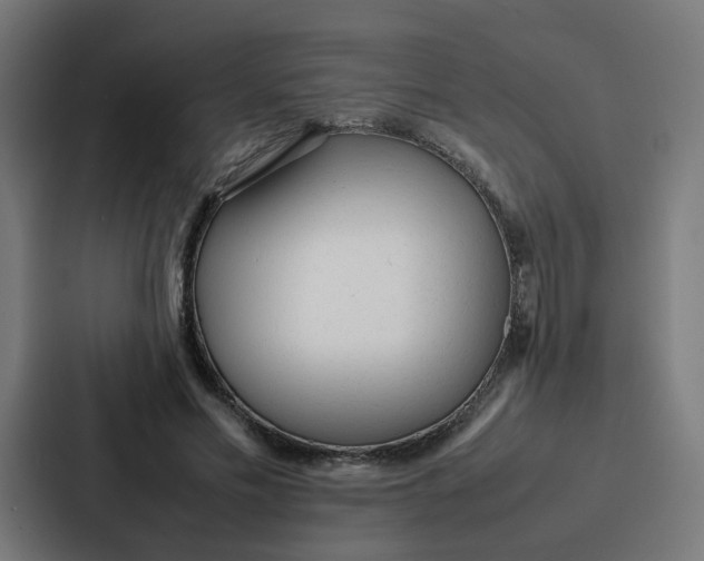 X0000087320589200705112138