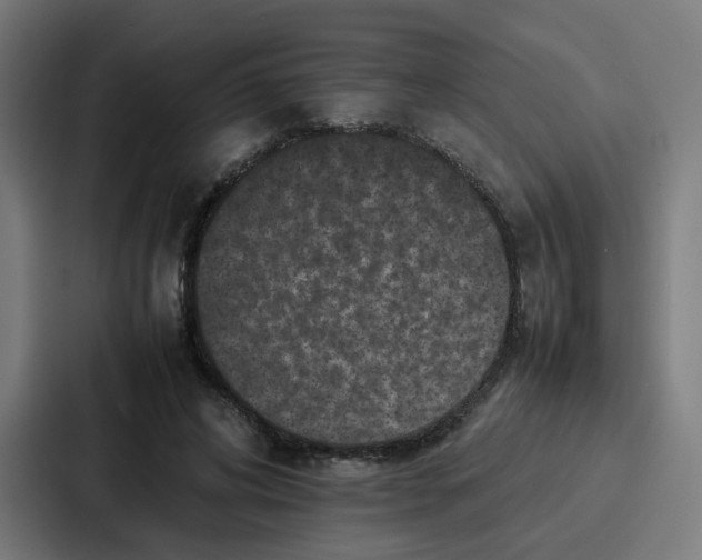 X0000087320592200705112138