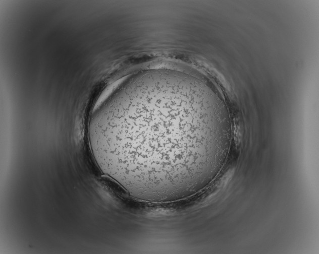 X0000087320593200705112138