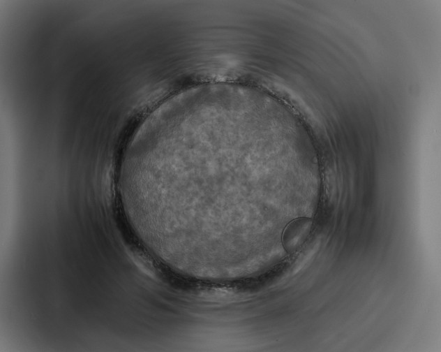 X0000087320594200705112138