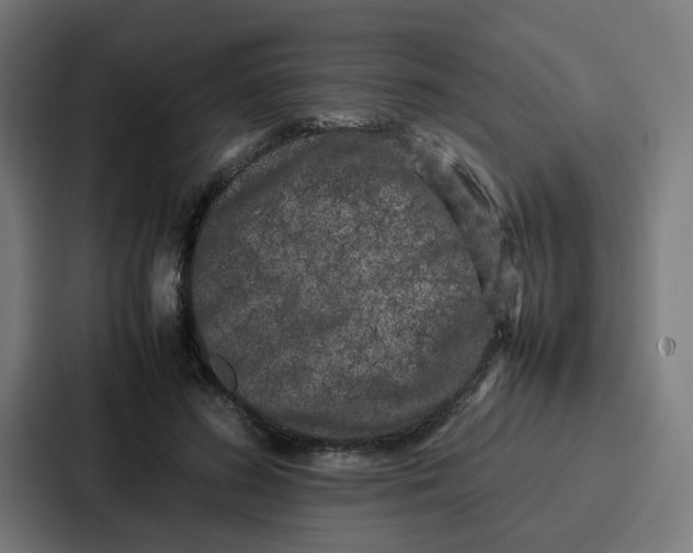 X0000087320596200705112138