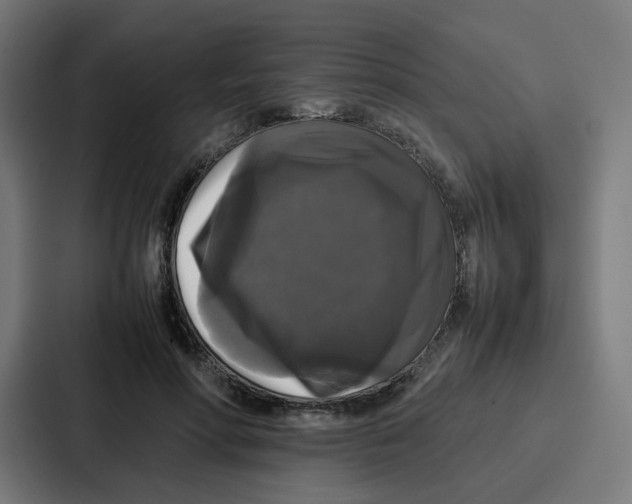 X0000087320598200705112138