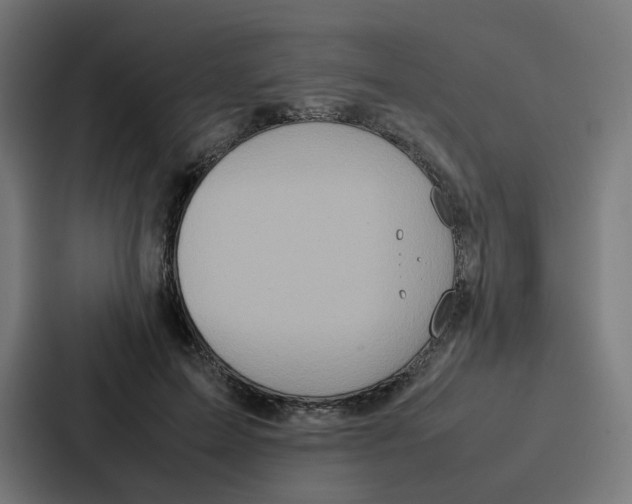 X0000087320599200705112138