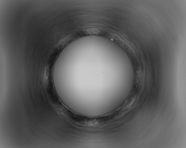 X0000087320600200705112138