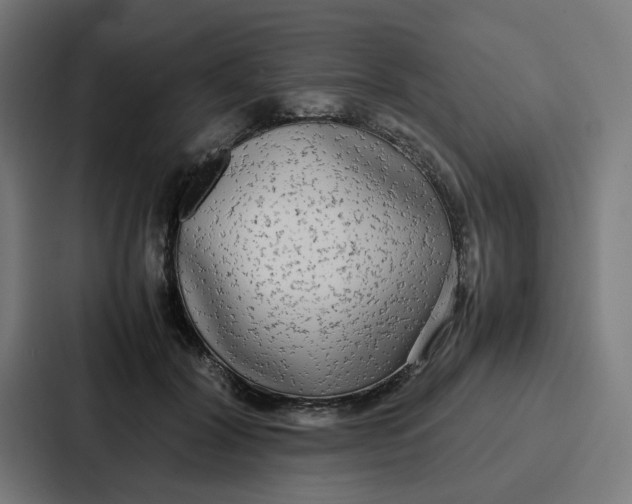 X0000087320604200705112138