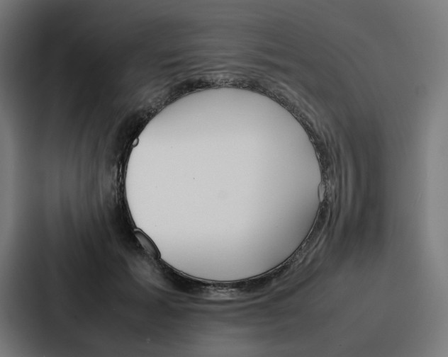 X0000087320605200705112138