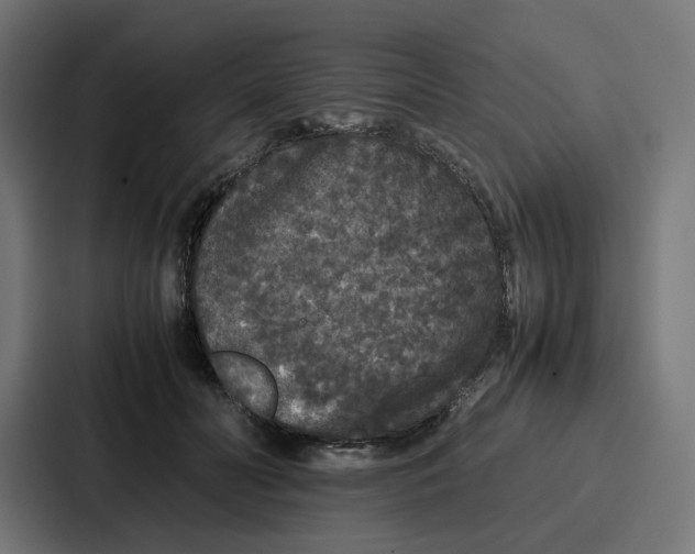 X0000087320606200705112138