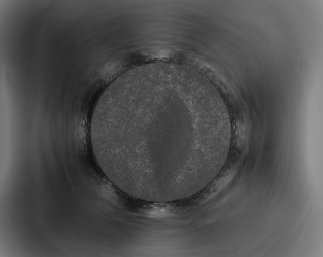 X0000087320612200705112138