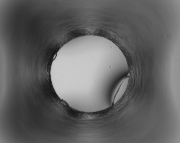 X0000087320613200705112138