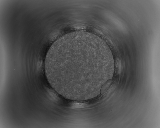 X0000087320614200705112138