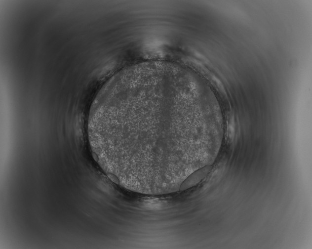 X0000087320616200705112138