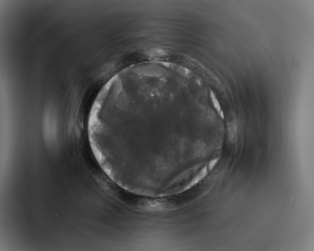 X0000087320618200705112138