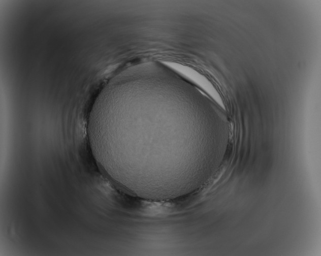 X0000087320621200705112138