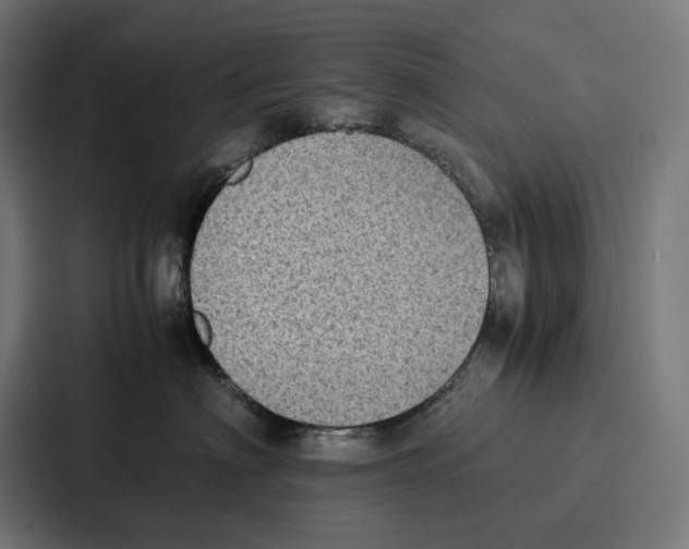 X0000087320622200705112138