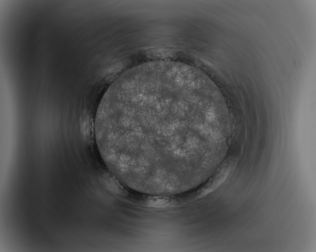 X0000087320624200705112138