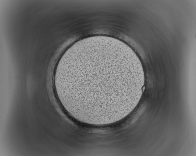 X0000087320625200705112137