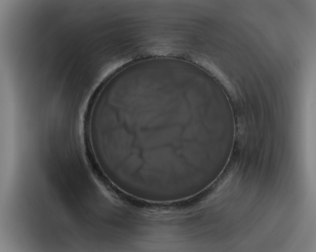 X0000087320626200705112137