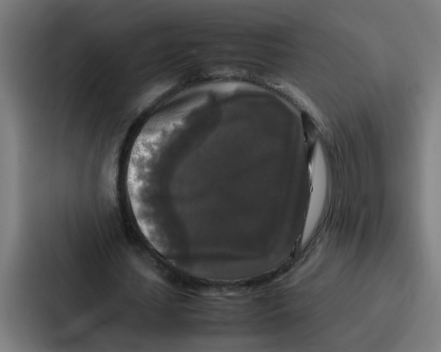 X0000087320627200705112137