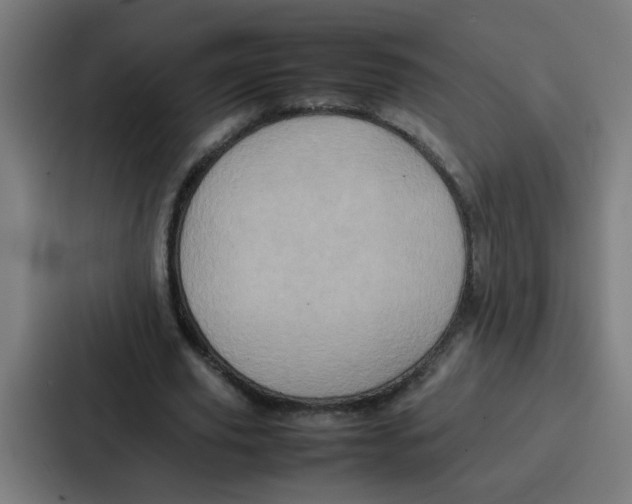 X0000087320629200705112137