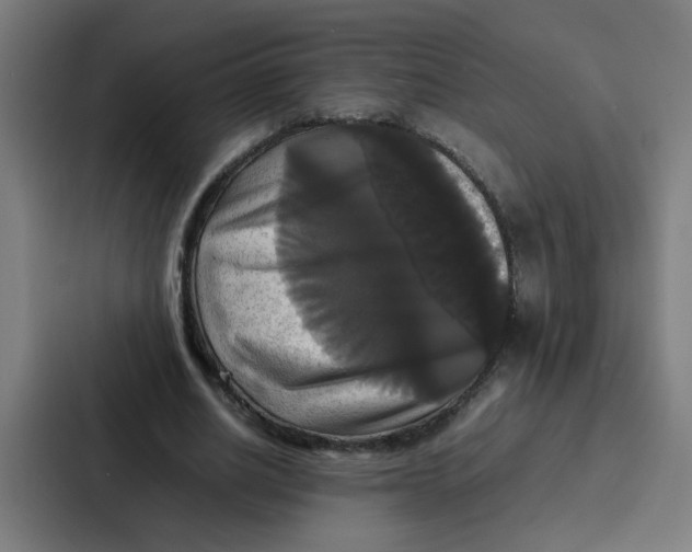 X0000087320630200705112137