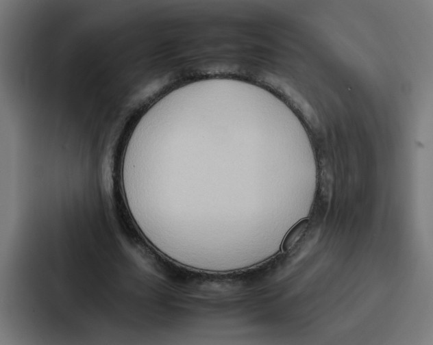 X0000087320631200705112137