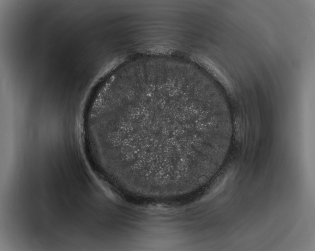 X0000087320634200705112137