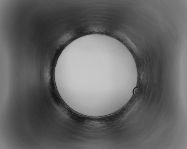 X0000087320635200705112138