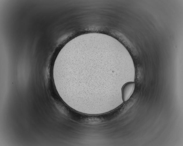 X0000087320636200705112138