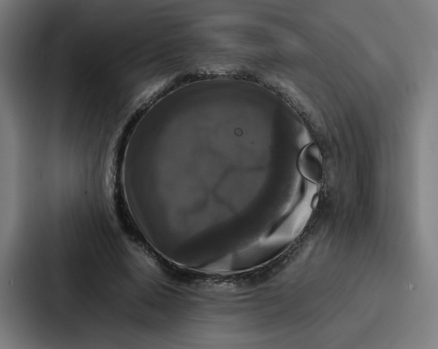 X0000087320640200705112138