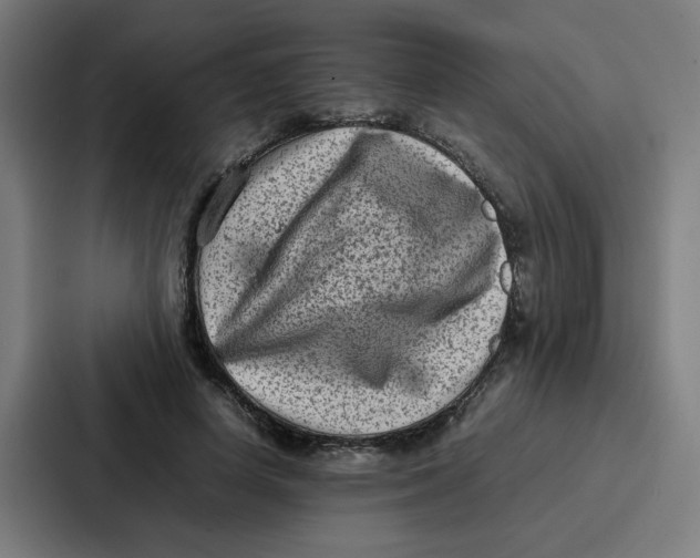 X0000087320642200705112138