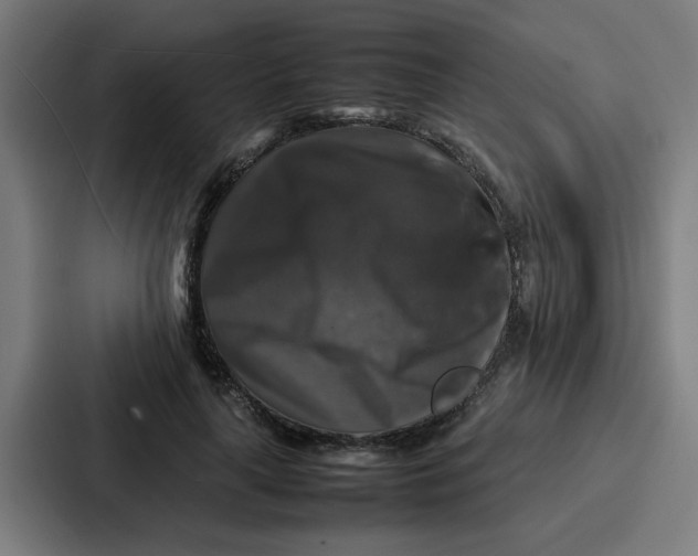 X0000087320643200705112138