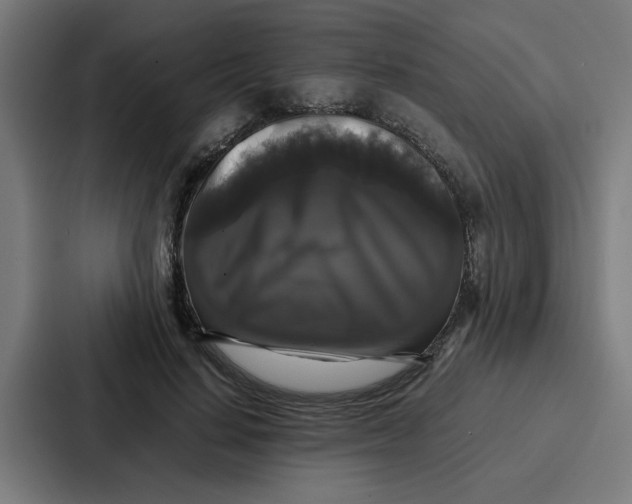 X0000087320644200705112138