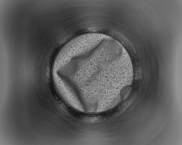 X0000087320646200705112138