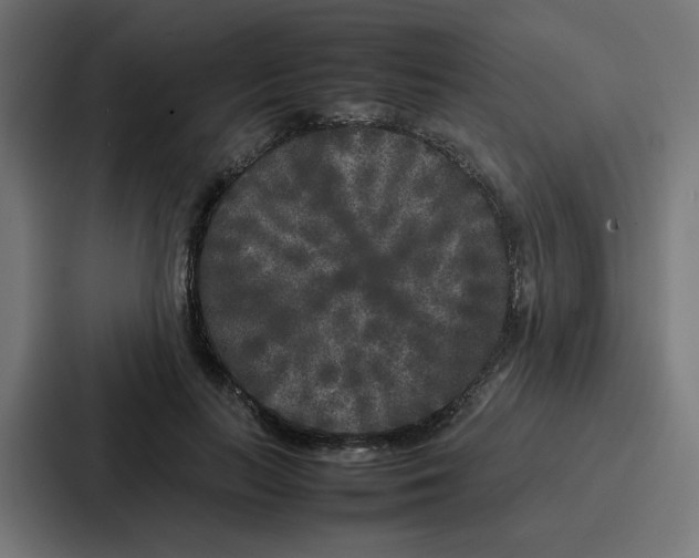 X0000087320647200705112138