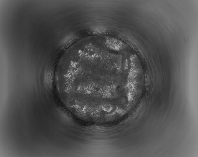 X0000087320648200705112138