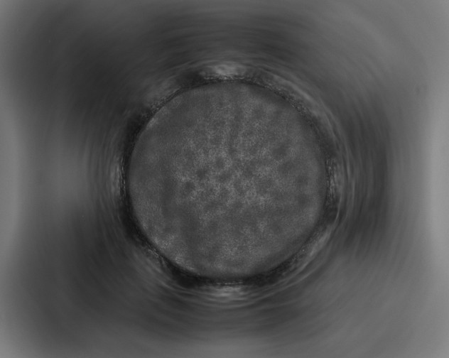 X0000087320651200705112138